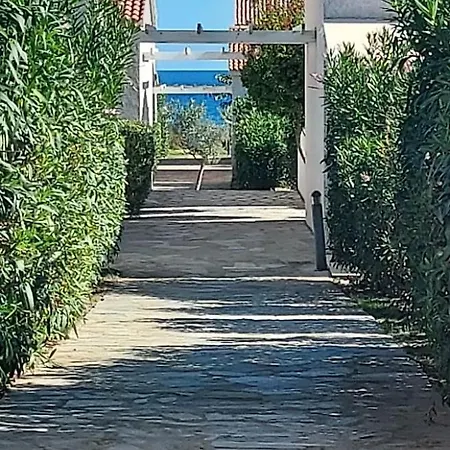 Mini A Nuciola Lejlighed Cervione